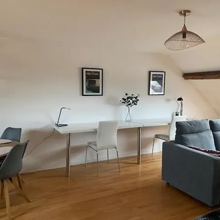 Superbe Cosy Appartamento Anzin