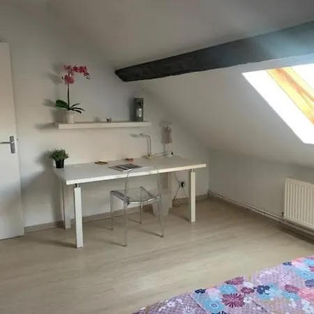 아파트 Superbe Cosy *